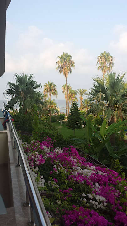 Tolle Aussicht  Saphir Hotel & Villas