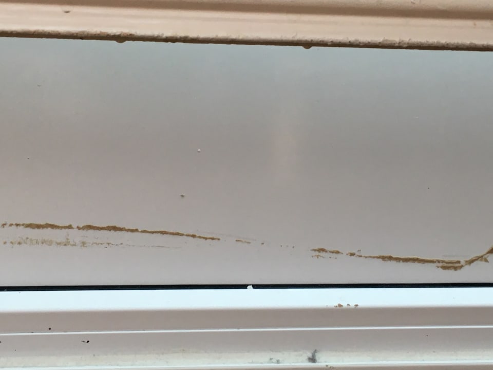 Zimmer Ferienwohnungen Ferienpark Weissenhäuser Strand