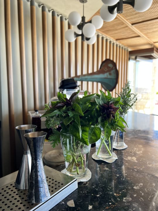 Gastro Kakkos Beach Hotel