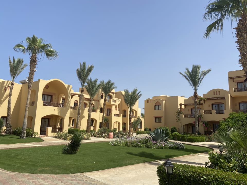 Gartenanlage Steigenberger Coraya Beach - Adults only