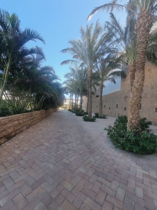 Gartenanlage Fort Arabesque Resort, Spa & Villas