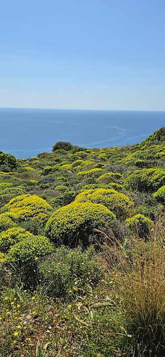 Sonstiges Hotel Kalithea Horizon Royal