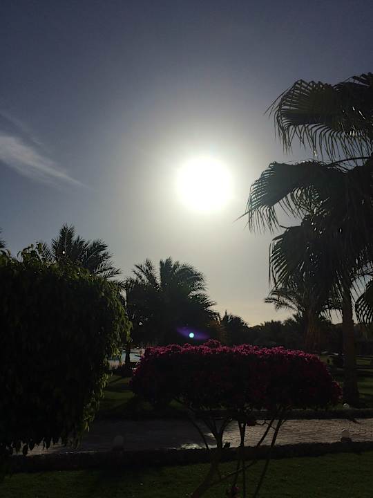 Gartenanlage Three Corners Sea Beach Resort