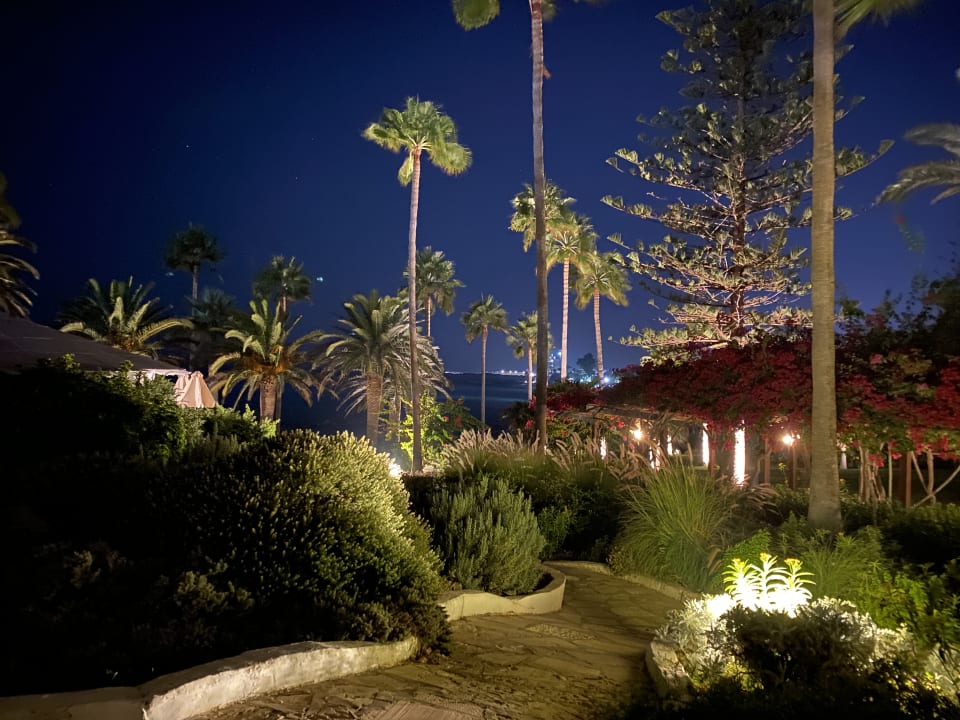 Gartenanlage Hotel Nissi Beach Resort