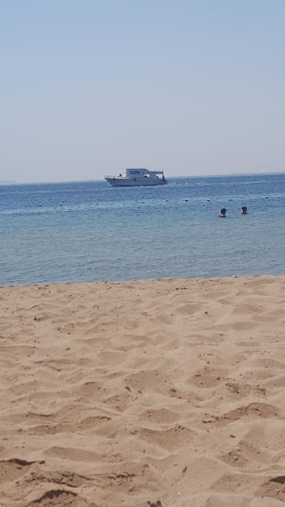 Traumhafter Strand  Eagles Paradise Abu Soma