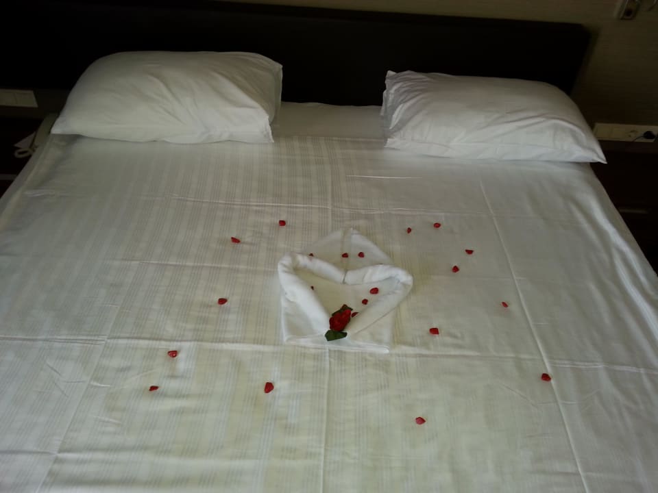Bettdeko Commodore Elite Suites & Spa - Adults only