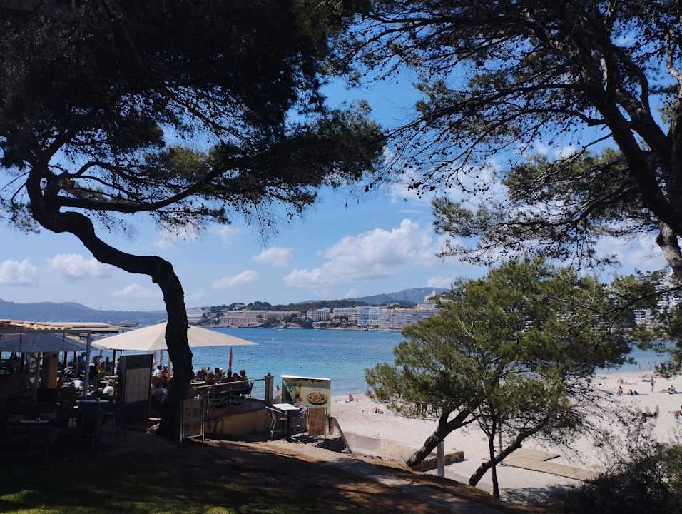 Strand Zafiro Rey don Jaime