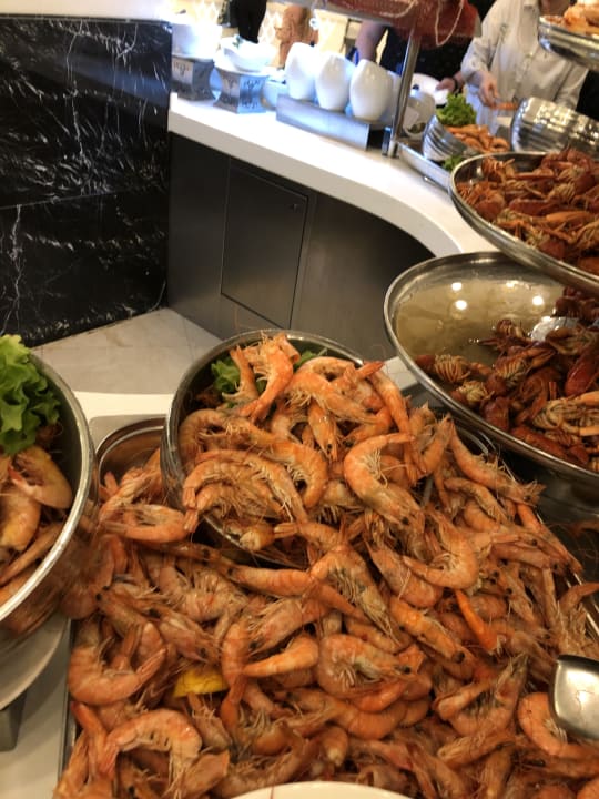 Gastro Adalya Elite Lara