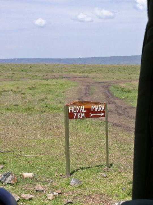 Schon fast da Royal Mara Safari Lodge
