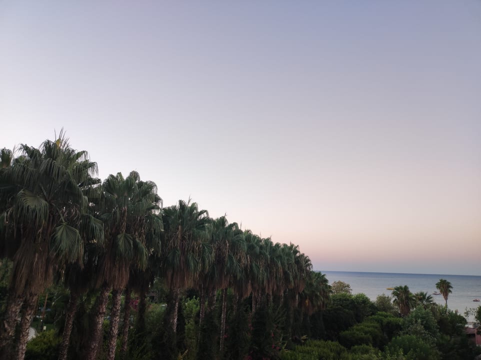 Ausblick Hotel Gardenia Beach