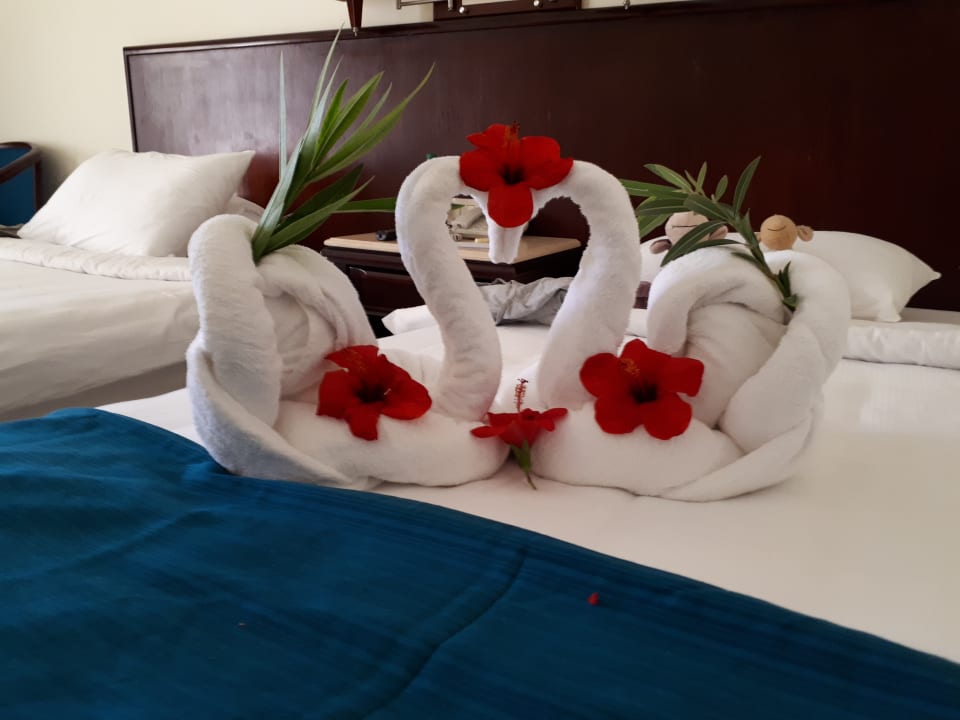 Zimmer Serenity Alpha Beach