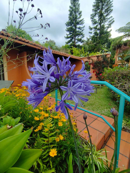 Gartenanlage Hotel Quinta Splendida Wellness & Botanical Garden