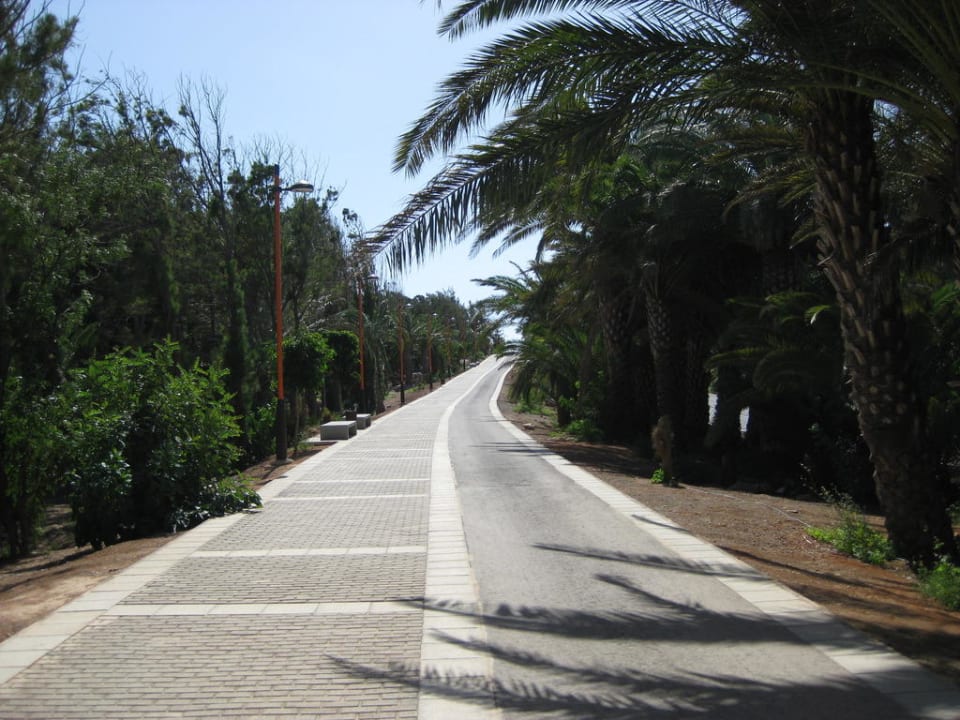 Laufstrecke SBH Fuerteventura Playa