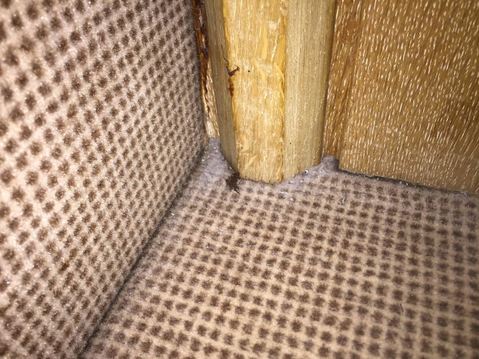 Dreck unter dem Bett mit totem Insekt ! Hotel & Restaurant Post Prienbach