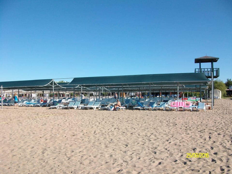 Hotelstrand Palm World Side Resort & Spa