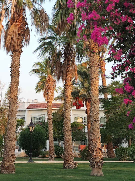 Gartenanlage The Grand Hotel Hurghada