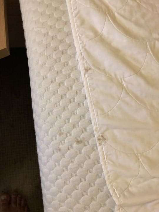 Zimmer Hotel Novotel Istanbul