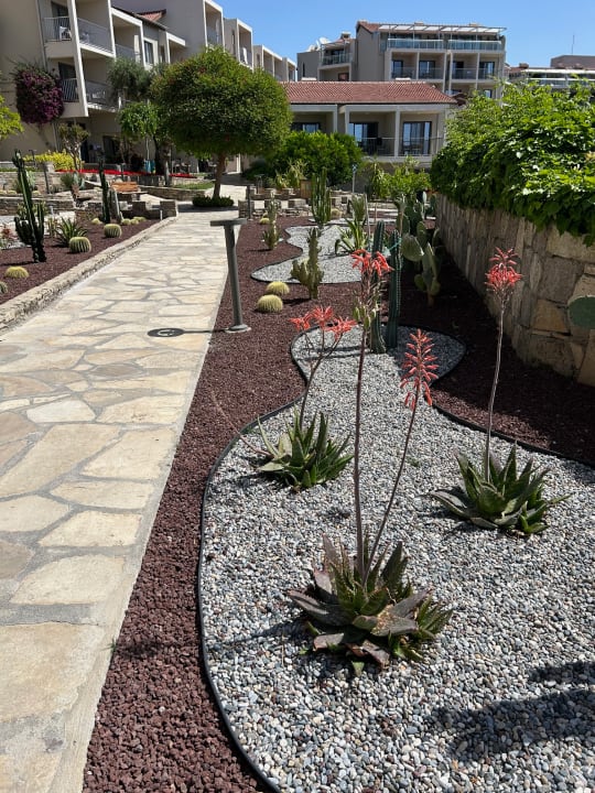 Gartenanlage Arum Barut Collection