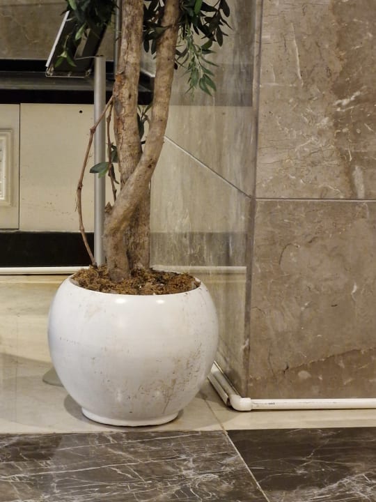 Gastro Well Palace Side