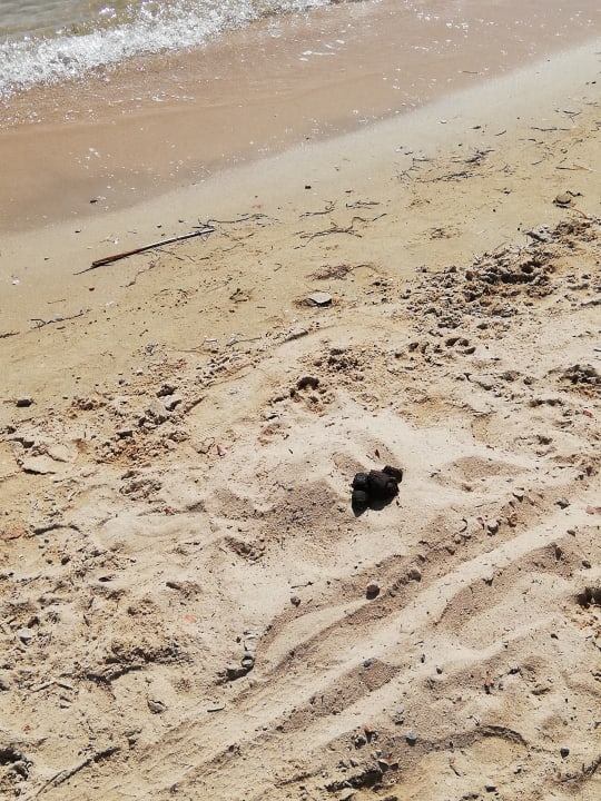 Strand Hotel The Holiday Resort