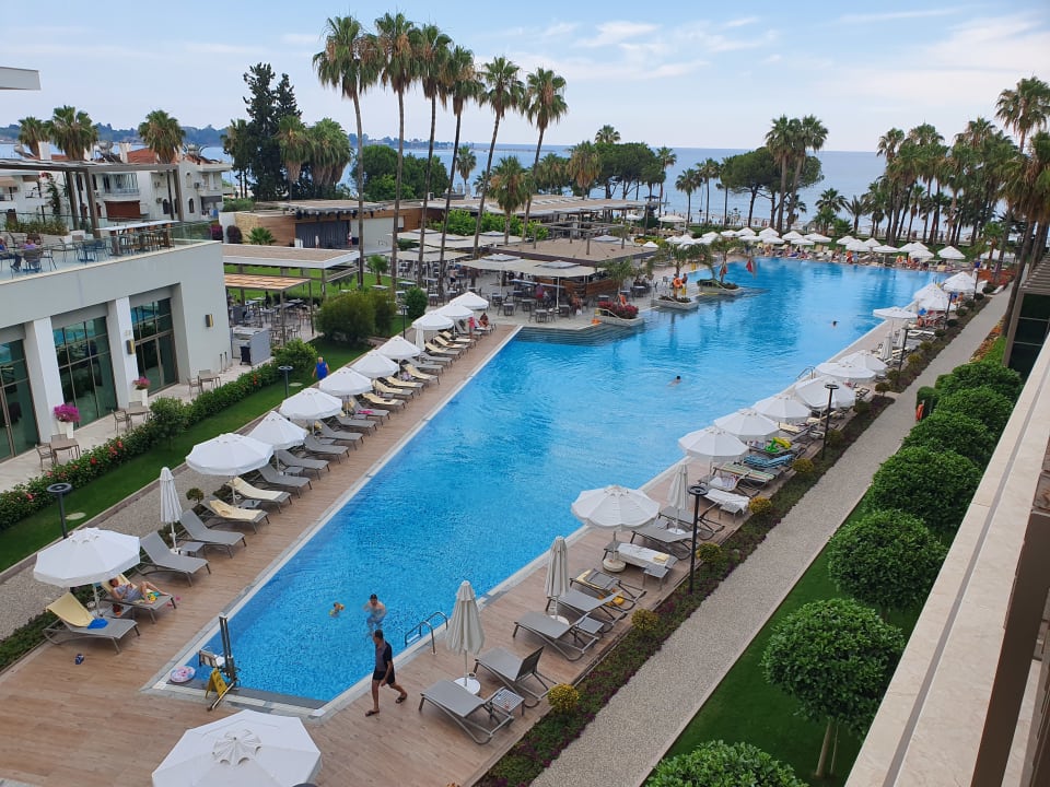 Pool Acanthus Cennet Barut Collection