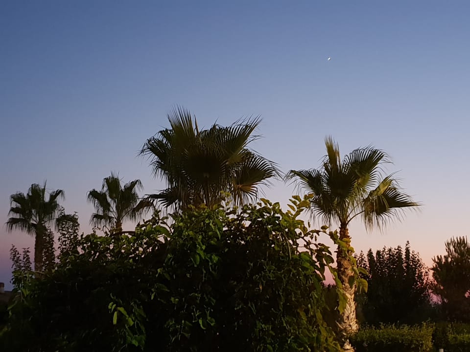 Ausblick Seamelia Beach Resort