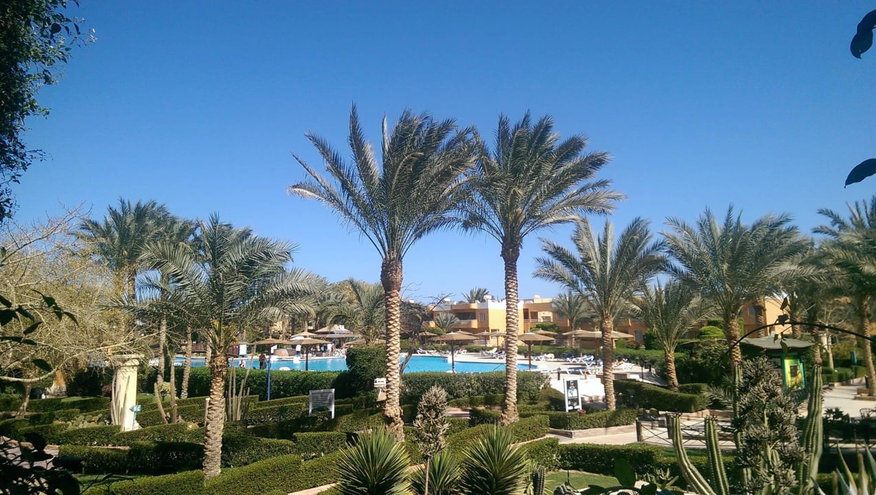 Панорама Golden Beach Resort