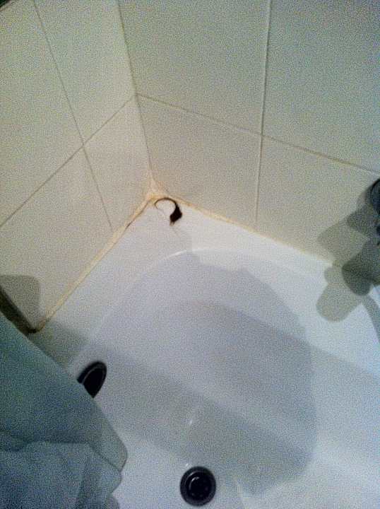 Haare von den Vorgängern sehr lecker Houda Golf & Beach Club