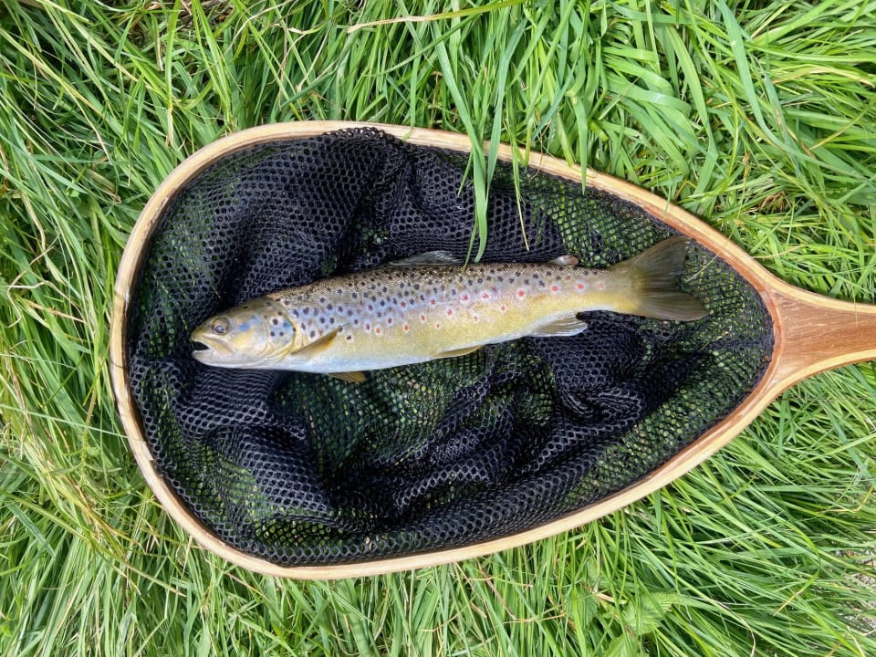 Sport & Freizeit Bärnsteinhof Gasthof mit Herz