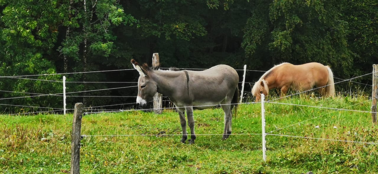 Außenansicht Bauernhof Bernhardenhof