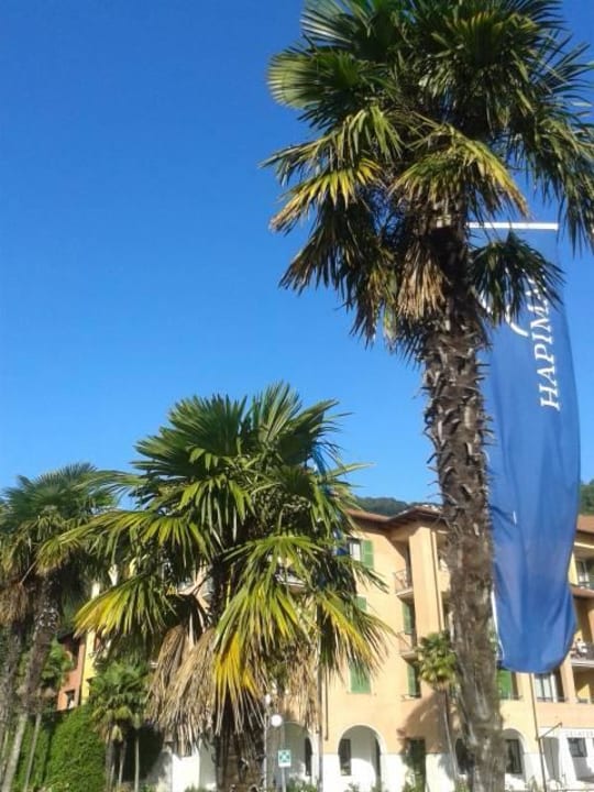 Palmen vor dem Resort Hapimag Resort Cannero