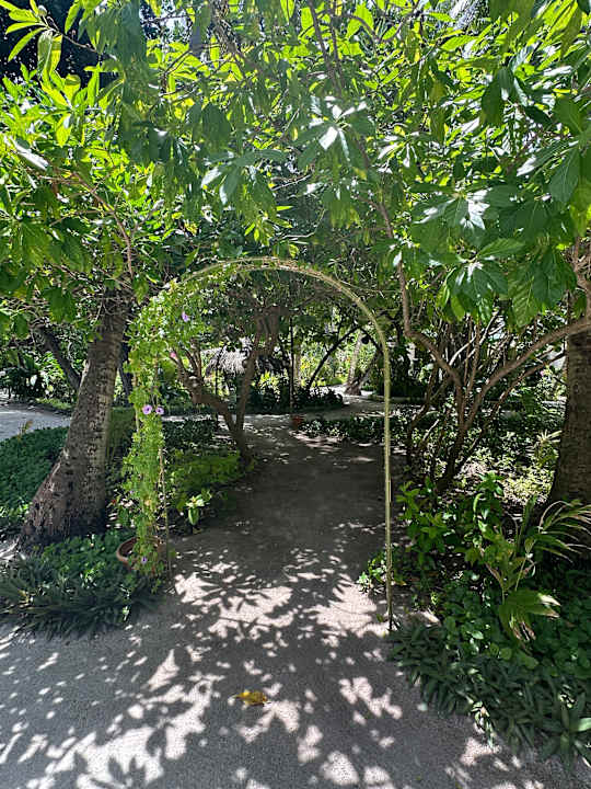 Gartenanlage Thulhagiri Island Resort