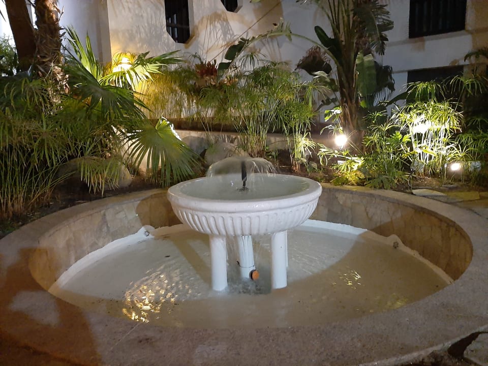 Gartenanlage Corallium Beach by Lopesan Hotels - Adults only