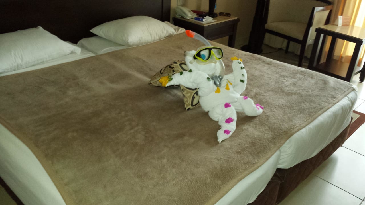 August 2014 Jaz Dar EL Madina