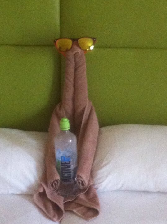 Zimmer GRIFID Vistamar