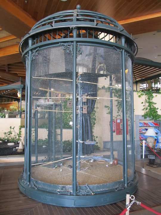 Vogelvoliere in der Eingangshalle GF Gran Costa Adeje