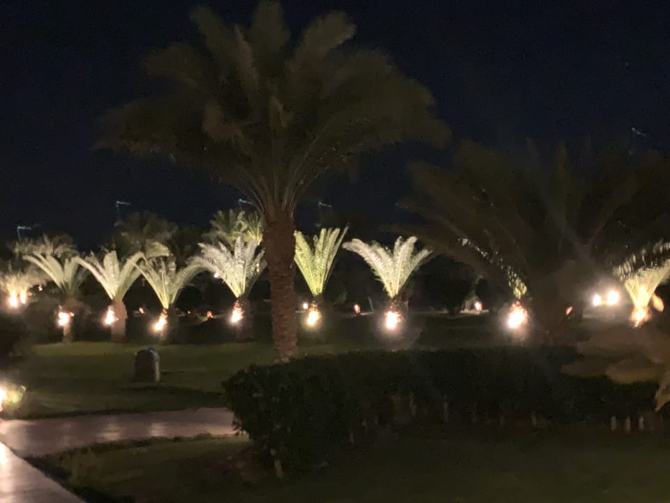 Gartenanlage Fort Arabesque Resort, Spa & Villas