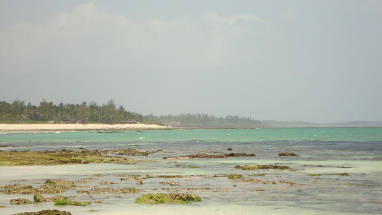 Strand bei Ebbe Hotel Southern Palms Beach Resort
