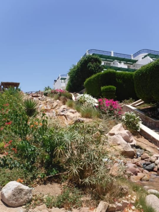 Wodospad Safir Sharm Waterfalls Resort