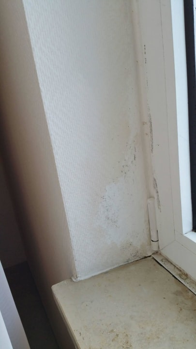 Linkes fenster/Wand AKZENT Hotel Aufkirchen