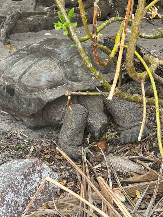 Sport & Freizeit The Coco de Mer Hotel & Black Parrot Suites