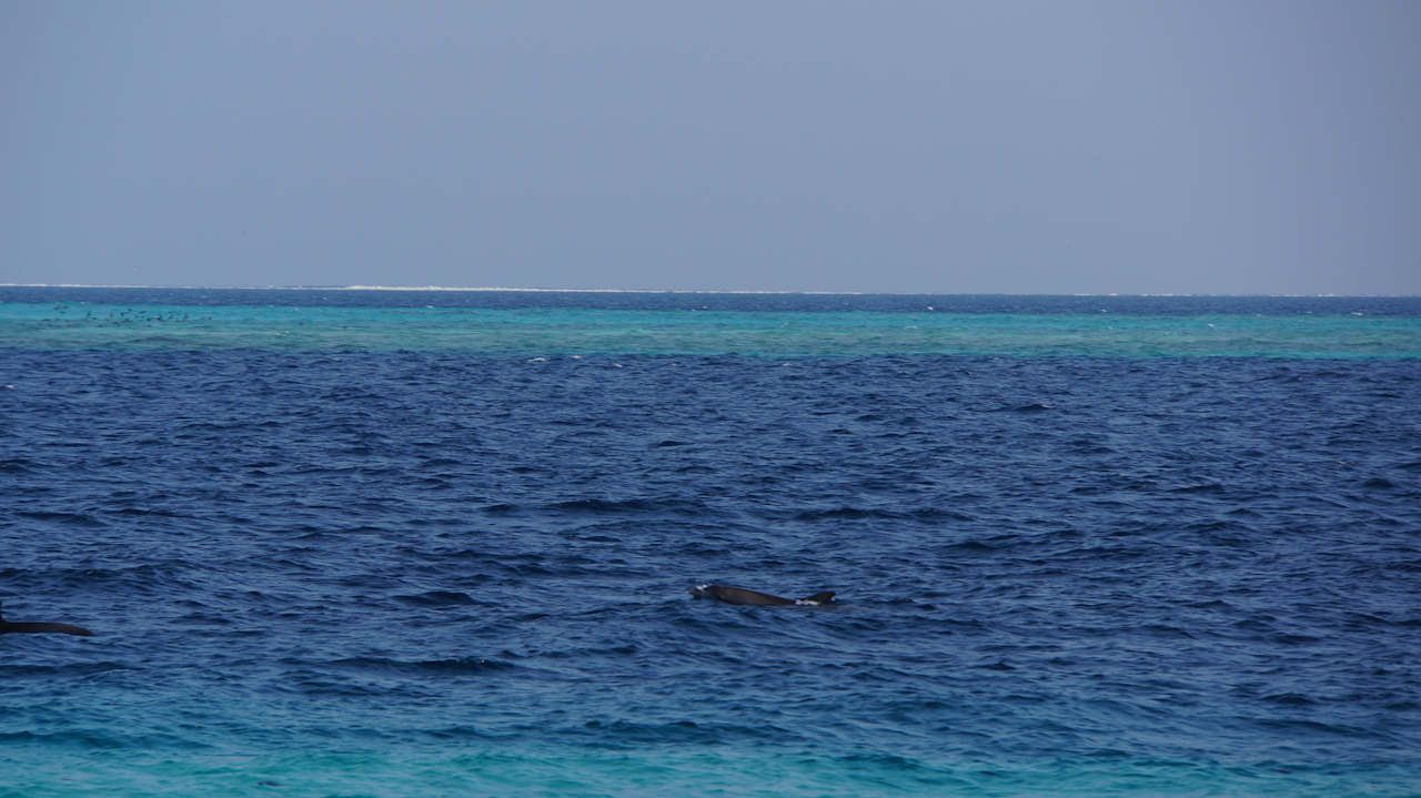 Sea NH Collection Maldives Reethi Resort