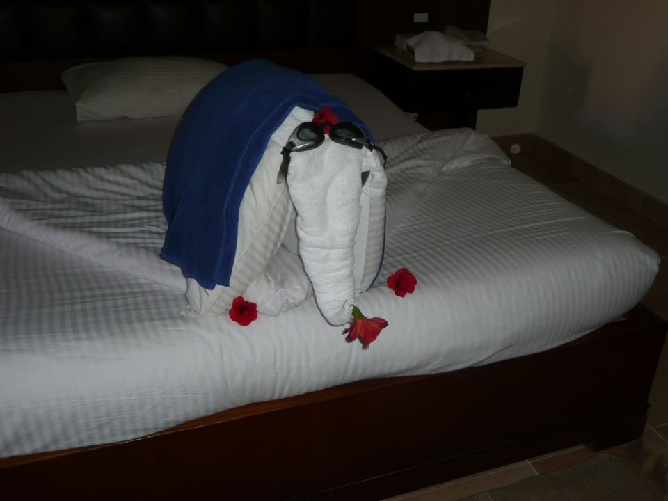 Elefant Pickalbatros Alf Leila Wa Leila Resort - Neverland Hurghada