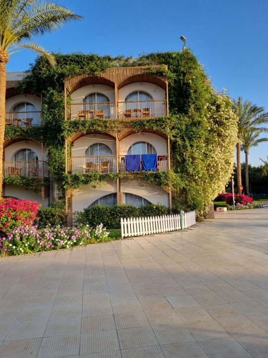 Außenansicht Desert Rose