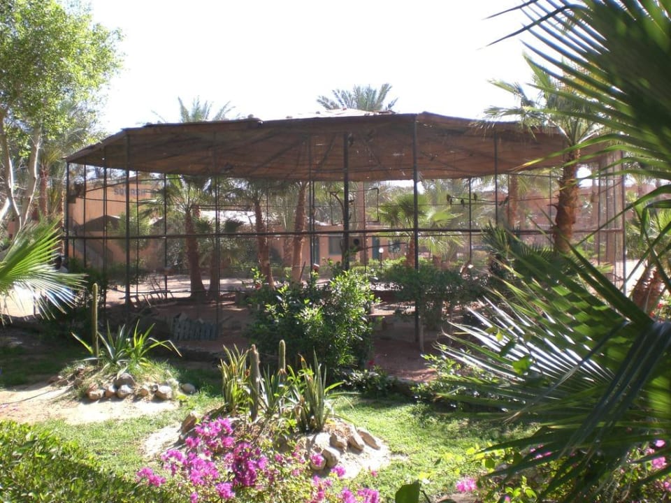 Papageienkäfig Giftun Azur Resort