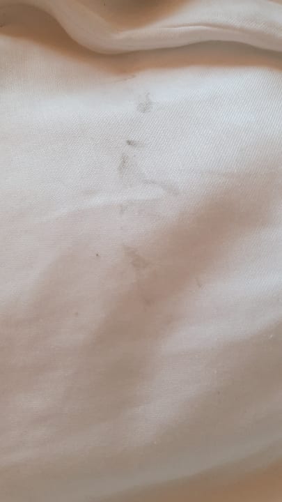 Zimmer Park Inn by Radisson Stuttgart