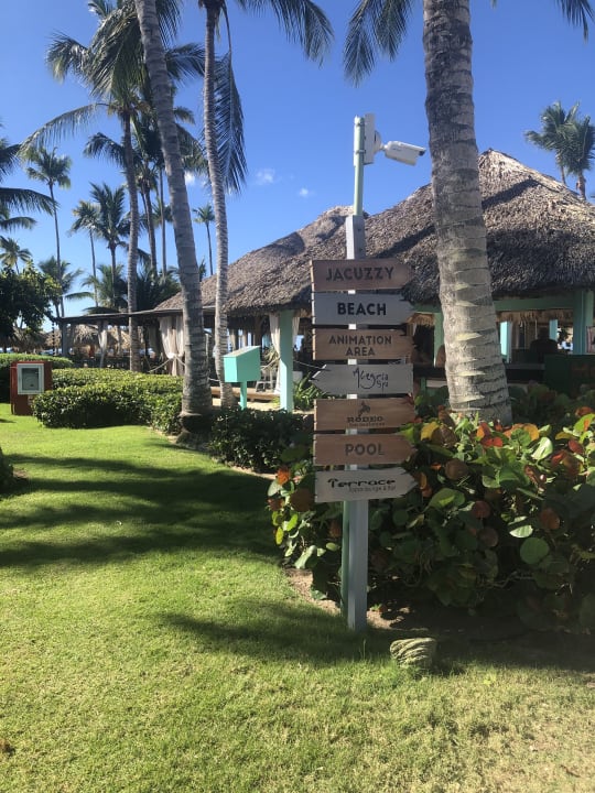 Gartenanlage Catalonia Royal La Romana - Adults only