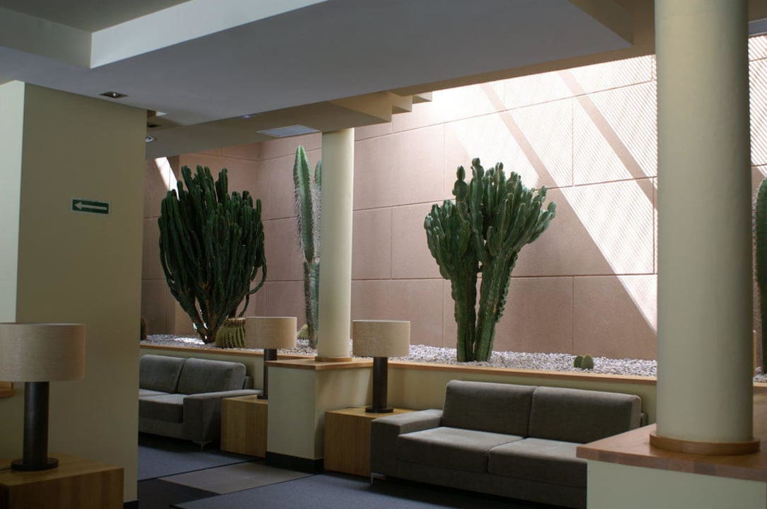 Lobby Hotel Playa Calera