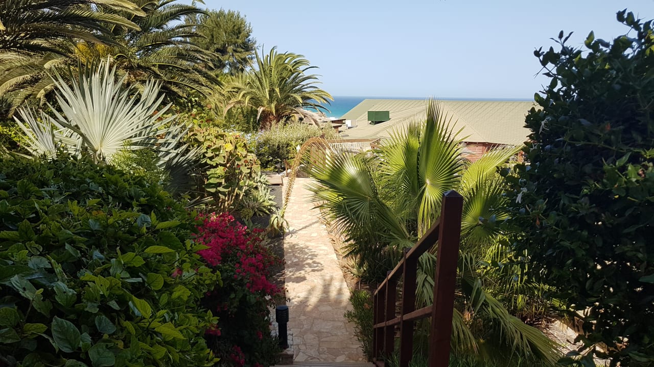 Gartenanlage Marina Playa Suite Hotel