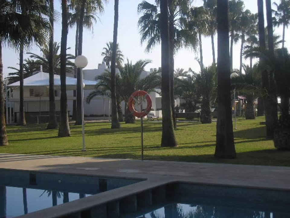 Zona piscina Apartamentos Tamarindos
